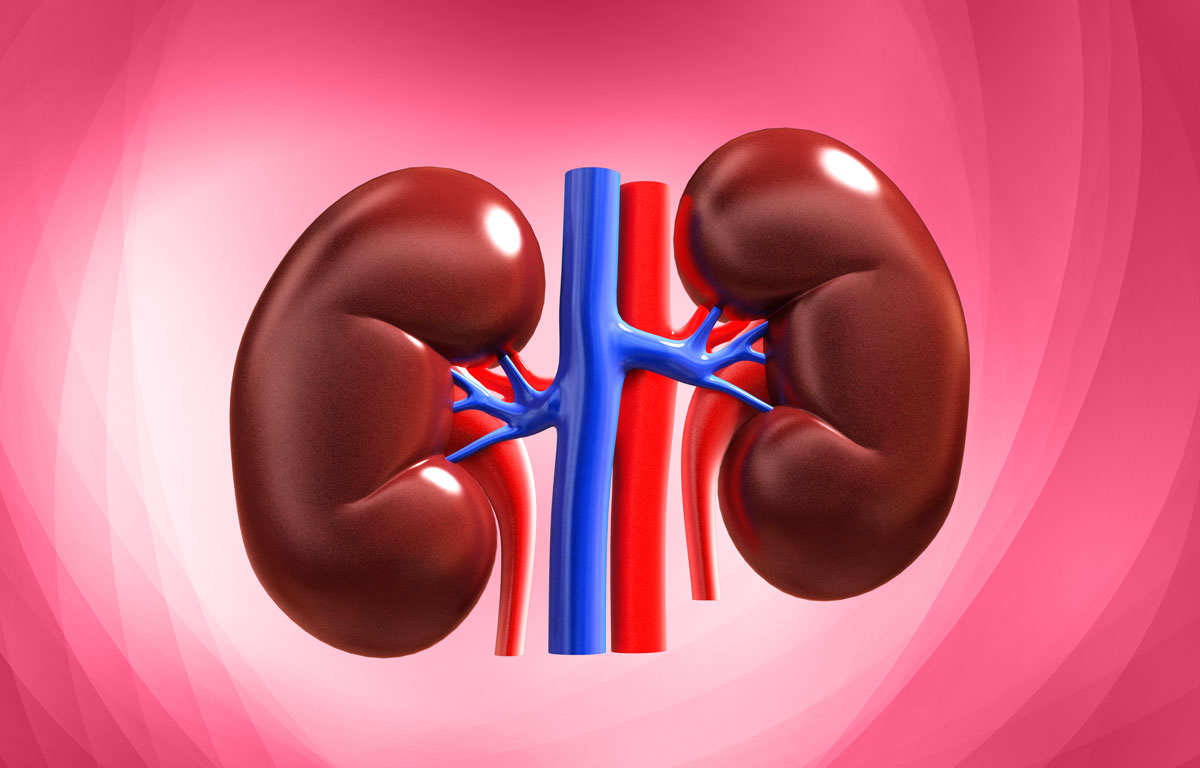 Renal Failure Symptoms